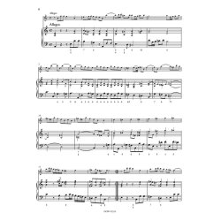 Sonata for Flute and Basso continuo : &ldquo;Hallenser No. 1&rdquo;, HWV 374  A minor